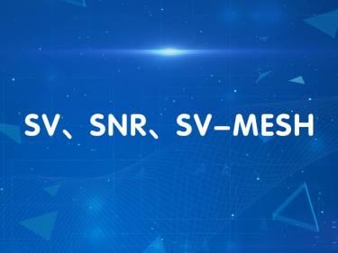 A diferen&ccedil;a entre o m&oacute;dulo de transmiss&atilde;o de dados sem fio da s&eacute;rie SV, s&eacute;rie SNR e s&eacute;rie SV-MESH